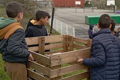 Galerie photo La salade, du jardin à l'assiette !