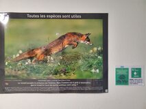 Galerie photo Un poster Un ODD Un écogeste !